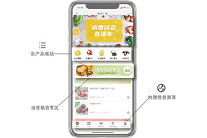 广粮信息技术（广东）有限公司