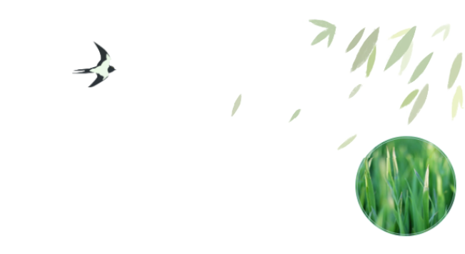 员工随笔丨抗“疫”过年，各人都还好吗？