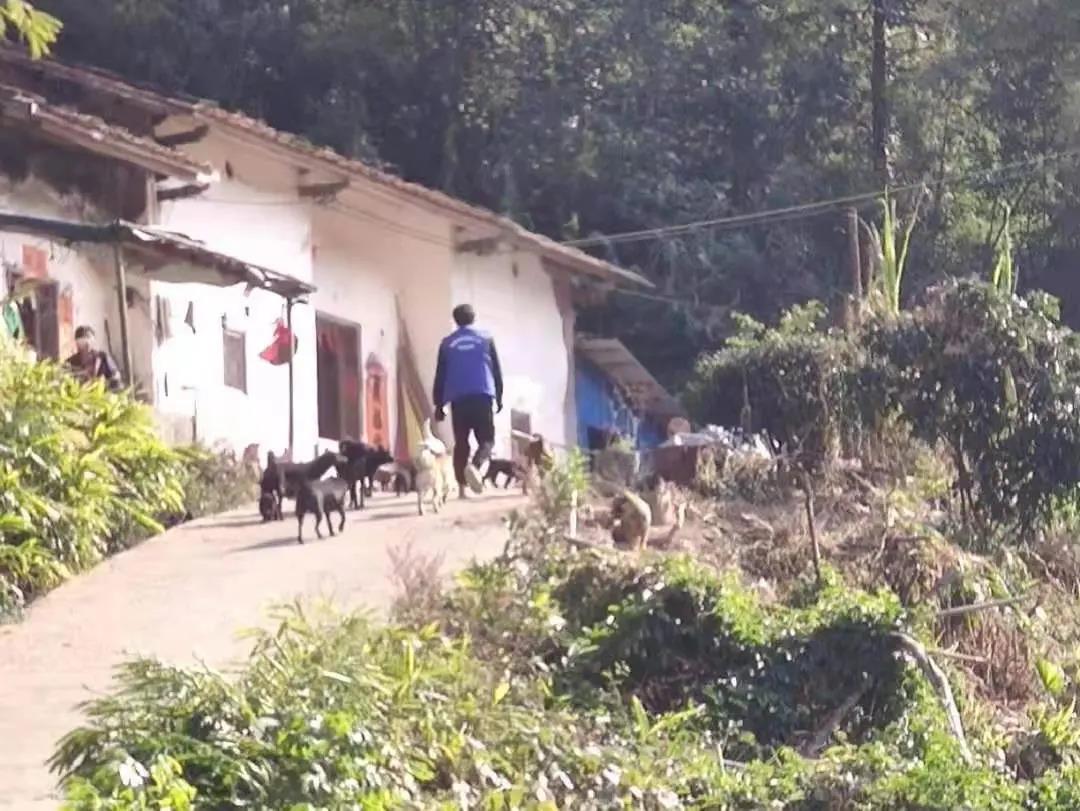 阳春房地一体项目纪实丨无悔青春多砥砺，最是奋斗动人心