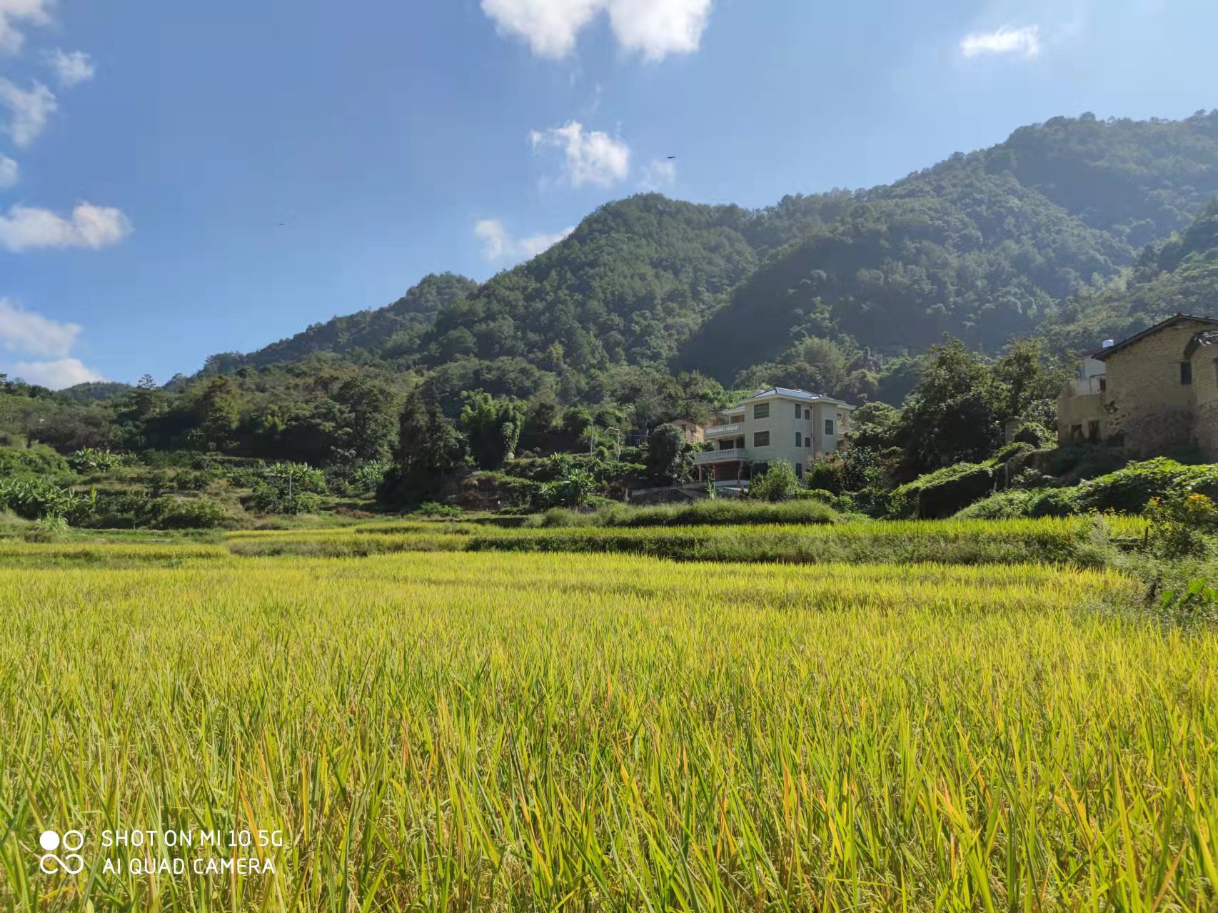 复原（补充）耕地项目怎么干？人生就是搏有话说
