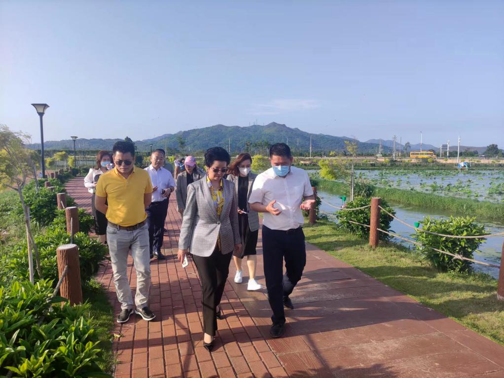 省生态建复协会轮值会长单元人生就是搏集团带队赴汕尾全域地皮整治军民融合试点项目调研