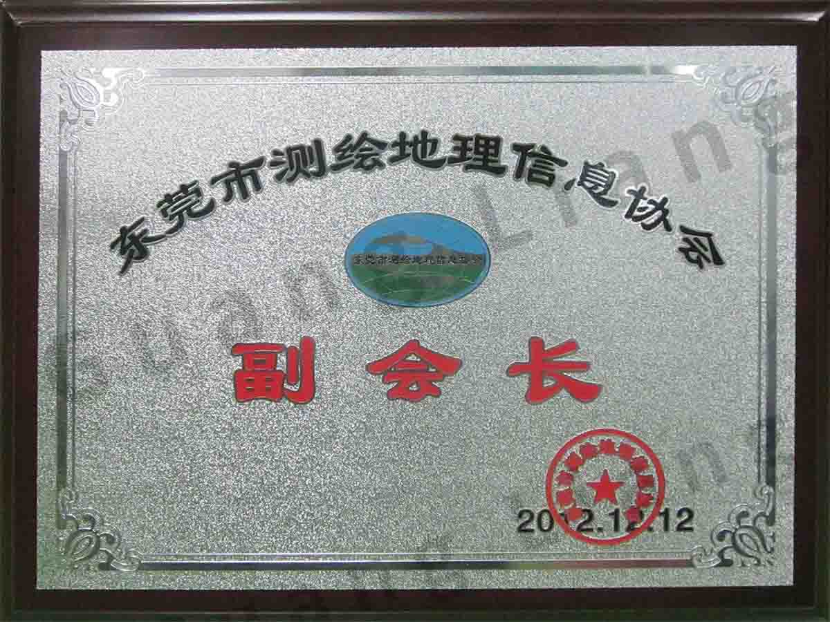 东莞市测绘地理信息协会副会长单元