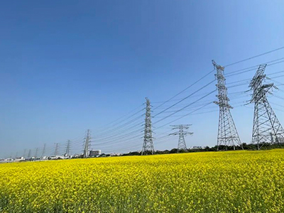 人生就是搏规划丨央视点赞东莞厚街复耕良田盛开迎春花！