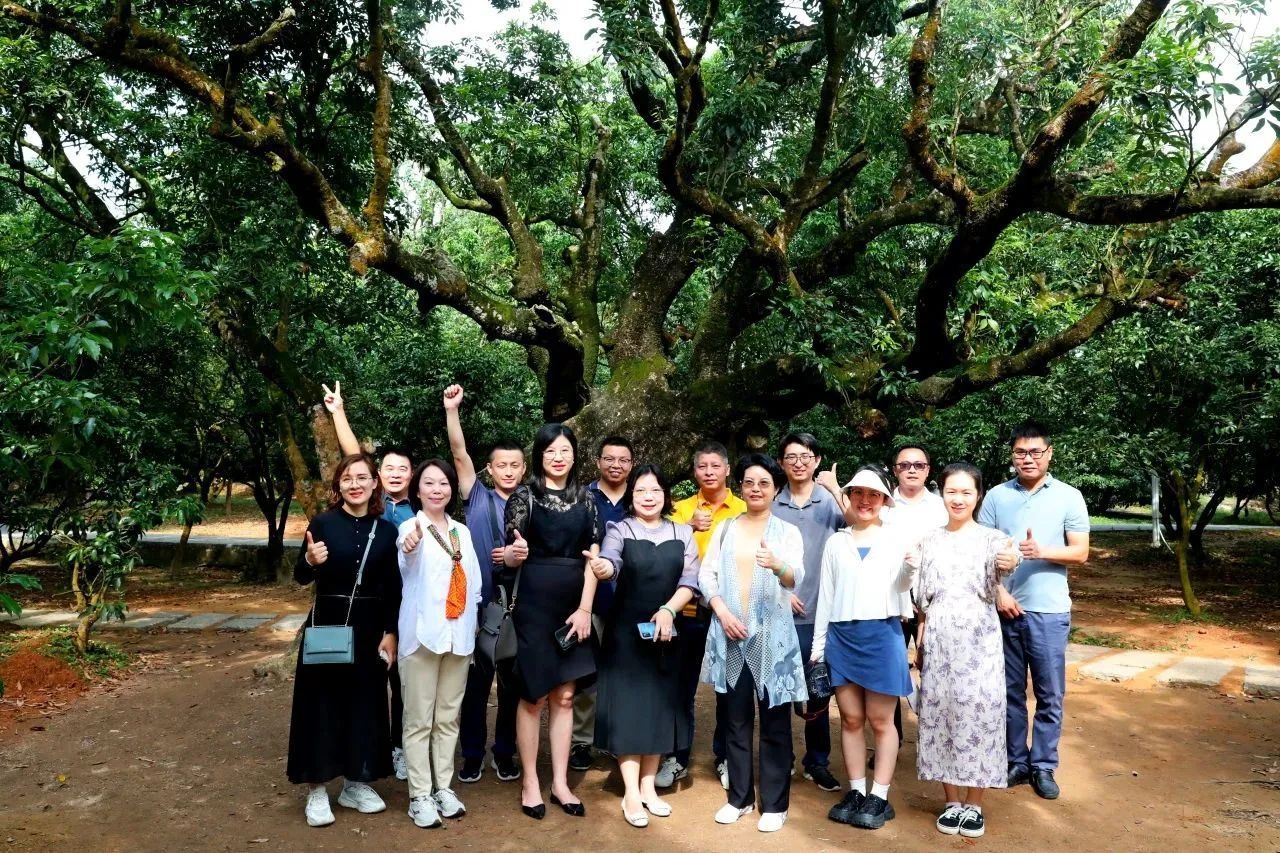 人生就是搏集团作为省河山空间生态建复协会轮值会长带队调研粤西全域地皮综合整治工作