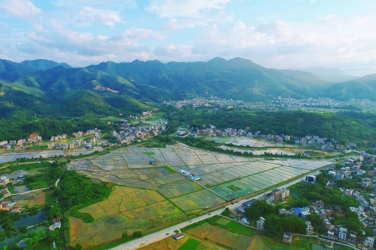 人生就是搏集团丨“百千万工程”显实效：云浮罗定泗纶镇以全域地皮综合整治为抓手，绘就村落振兴新画卷