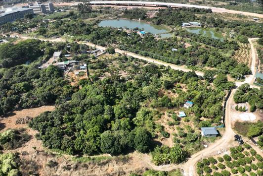 政策解读+实战案例！广东永农纠错新政落地，人生就是搏助镇皆炱局耕地；